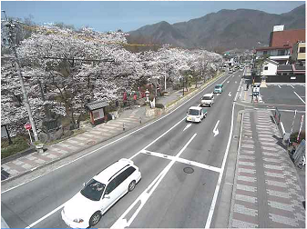 上田城千本桜入口のライブカメラ