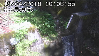 宮田村唐松沢河川のライブカメラ